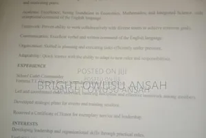 Curriculum Vitae (CV)
