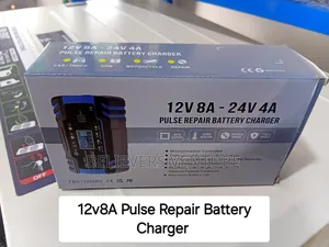 Pulse Repair Battery Charger 12v8a-24v