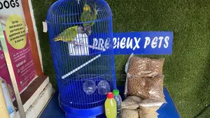 Full Package Pet Bird