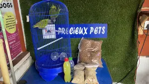 Full Package Pet Bird