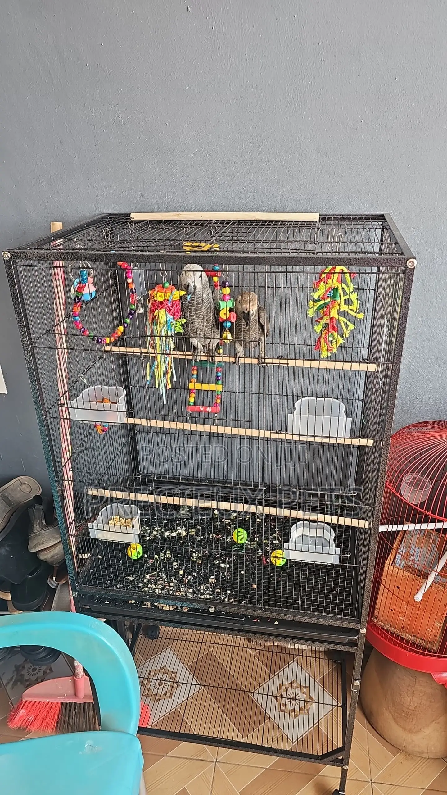 XXXL Parrot Cage