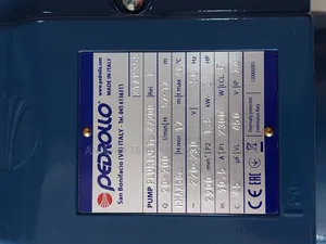 Pedrollo Stainless Steel Pump