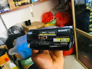 Sony HDR-SR11E 60GB Handycam - Capture Memories in HD