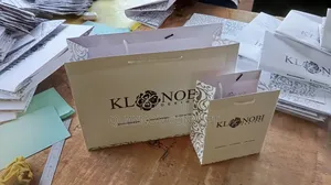 Matte Laminated Paper Bag