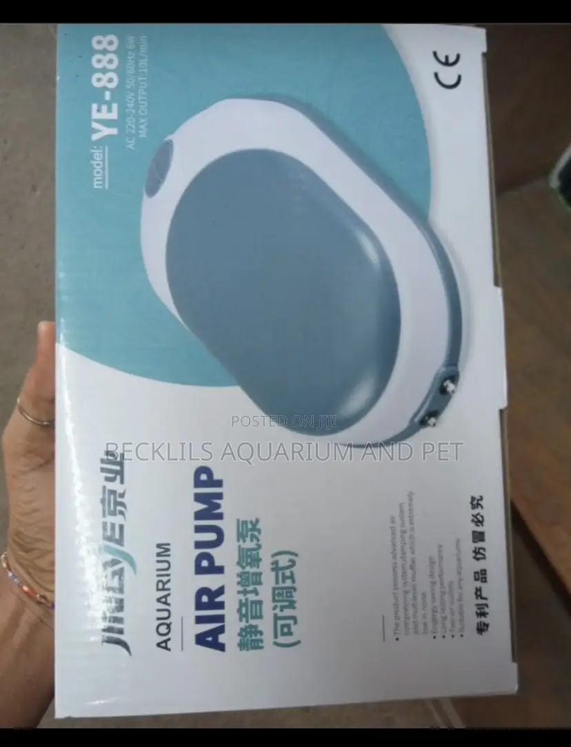 Double Outlet Airpump