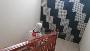 Ahodwo Residential Fumigation With Cleantex