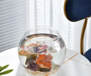 Round Fish Bowl With Fish