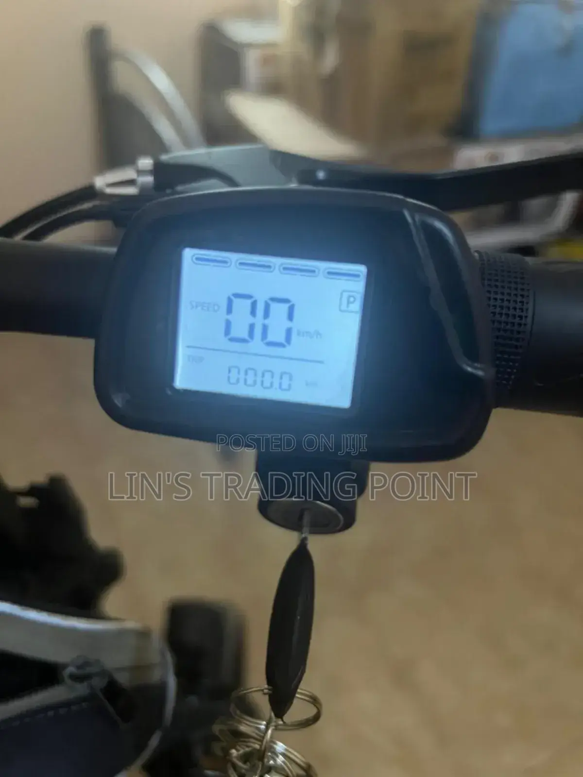 Adult Foldable Electric Bike