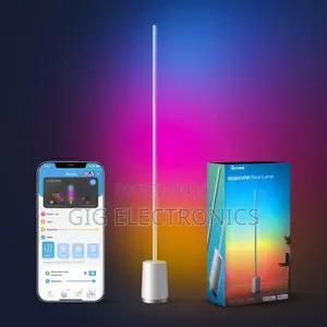 Govee RGBIC Floor Lamp