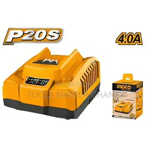 P20s Battery Charger - Fcli20411