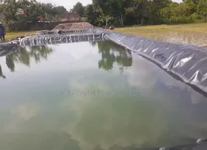 Fish Pond, Water Pan and Dam Setup