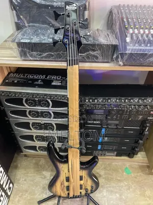 Ibanez Soundgear Gio 5strings Active Bass Guitar