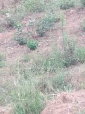Plot of Land for Sale