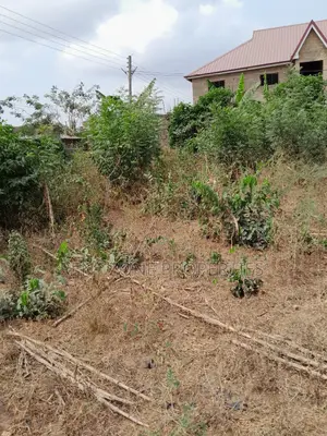Service Plot of Land