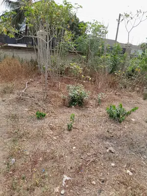 Service Plot of Land