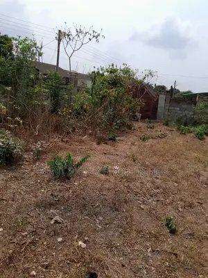 Service Plot of Land