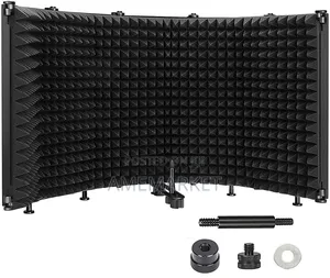 Professional Acoustic Foam Vocal Booth Microphone Studio Shield
