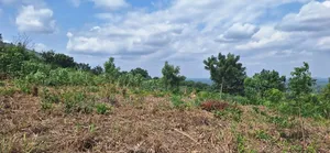45x100 Ft Plot of Land for Sale at East Airport