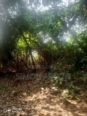 80 Km Square of Gold Mining Concession