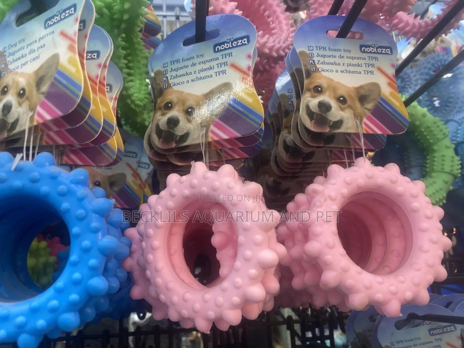 Dog Play Toy ( Ring Type )