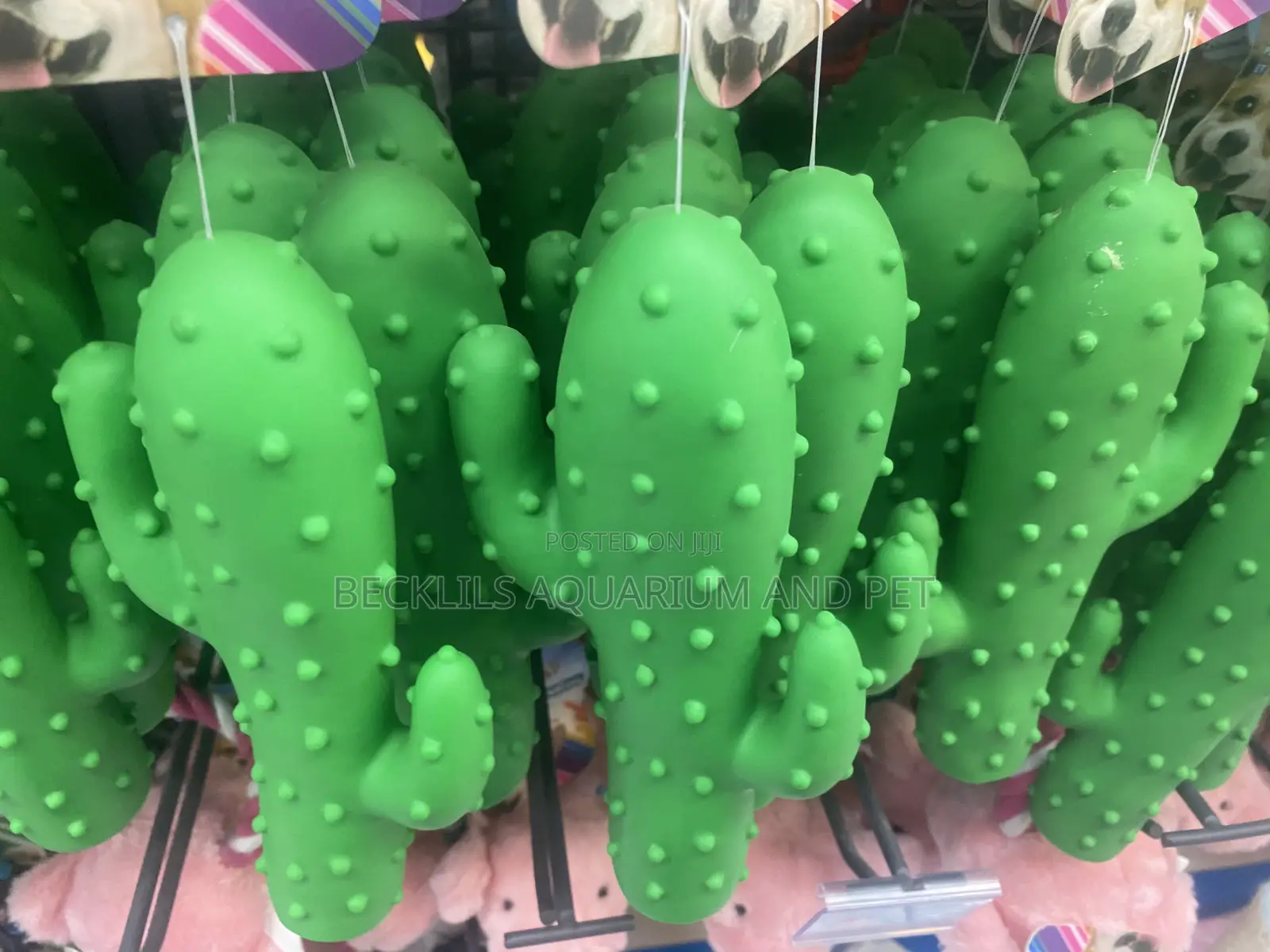 Dog Play Toy
