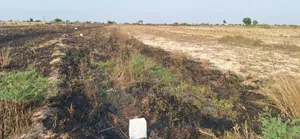 Trending Promotion Plots at Prampram Beach Lane