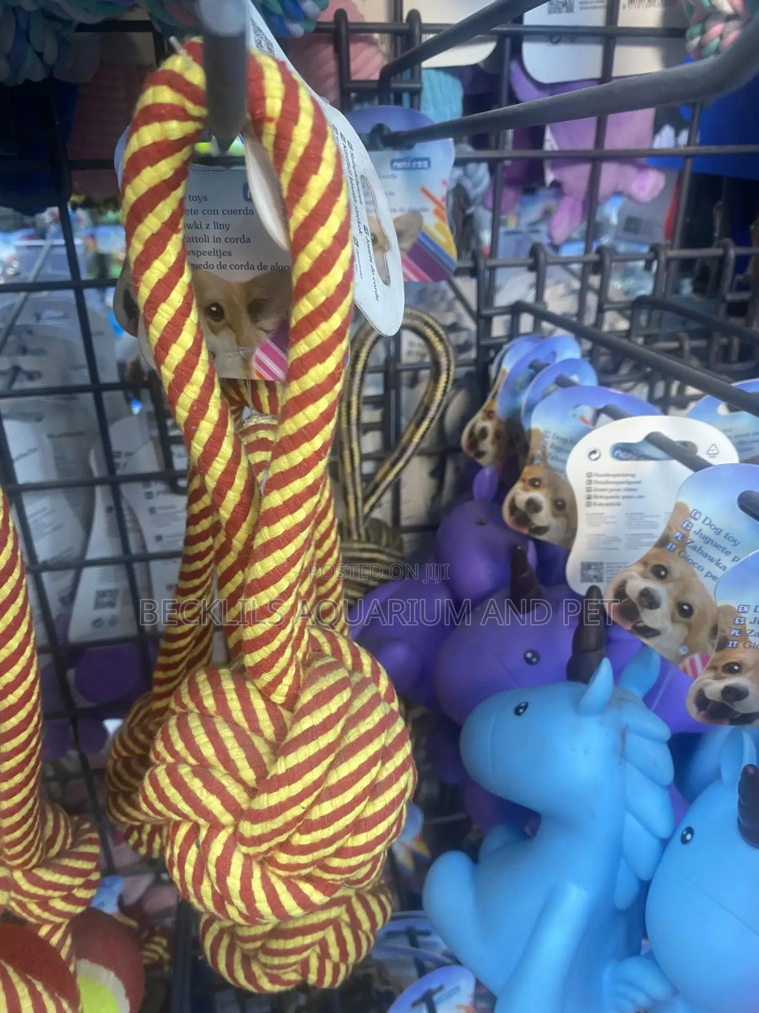 Dog Play Toy ( Play Rope)