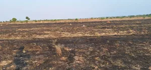 Demarcated and Certified Lands at Afienya - Shai Hills