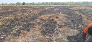 Get Some Discount Offers on Half Plot at Prampram Beach Lane