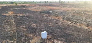 Cool Gated Locality Lands at Prampram Beach Lane