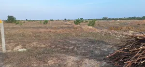 Coolest Promotion on Plots at Afienya - Shai Hills