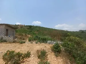 5 Plots for Sale at Ayi Mensah Hills