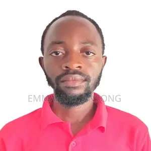 IT Specialist