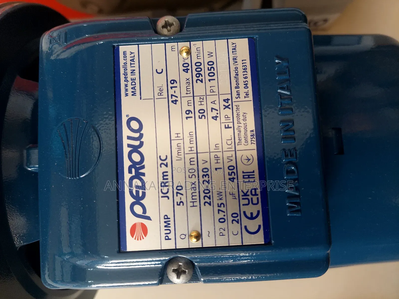 Pedrollo Water Pump