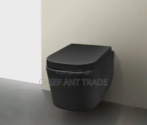 Concealed Wc Wall Toilet Seat. 625b
