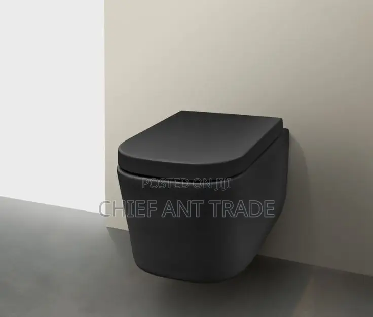 Concealed Wc Wall Toilet Seat. 625b