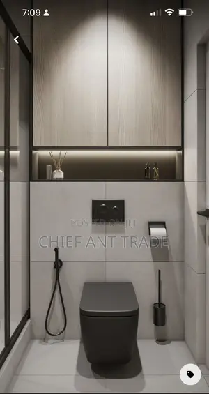 Concealed Wc Wall Toilet Seat. 625b