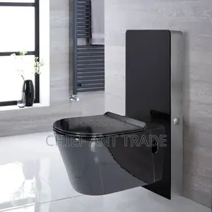 Concealed Wc Wall Toilet Seat. 625b