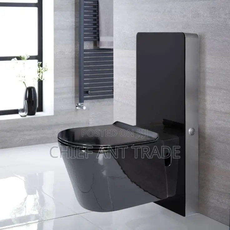 Concealed Wc Wall Toilet Seat. 625b