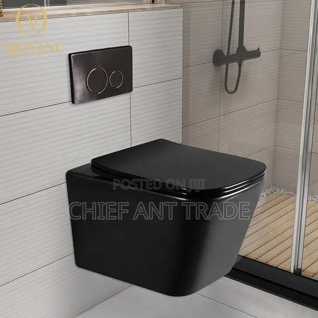Concealed Wc Wall Toilet Seat. 625b