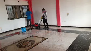 Clear and Quick Fumigation Service With Cleantex