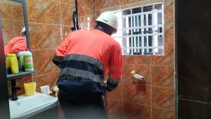 Clear and Quick Fumigation Service With Cleantex