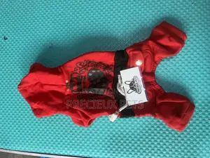 Toy Dog Clothing 2025-0 2