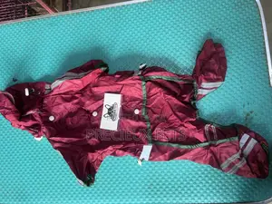 Toy Dog Clothing 2025-0 3