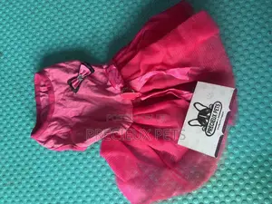 Toy Dog Clothing 2025-0 27