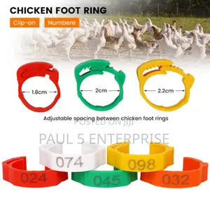 Chicken Foot Ring Wholesale and Retail