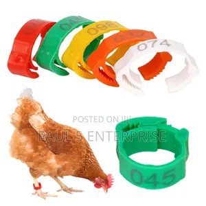 Chicken Foot Ring Wholesale and Retail