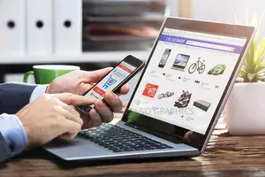 Unleash the Power of Professional Web App Development!