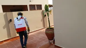 General Mosquitoes,Ants,Snakes Fumigation