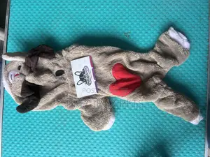 Toy Dog Clothing- New Stock -2025-00052000